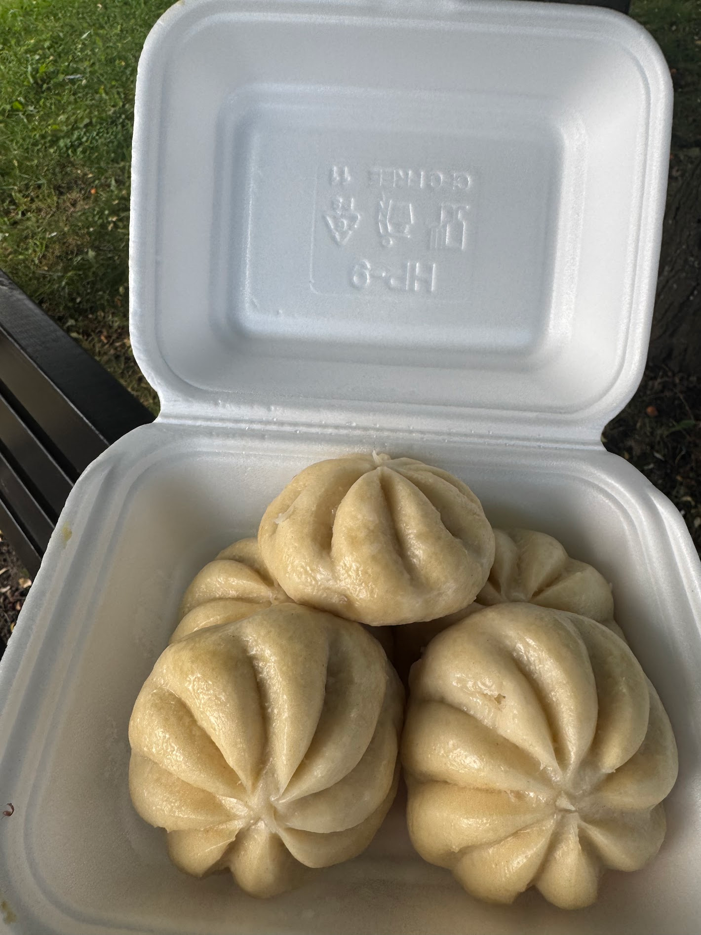 Pierożki Baozi w pudełku